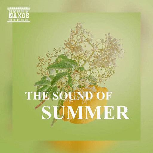 BABES性欧美视频
